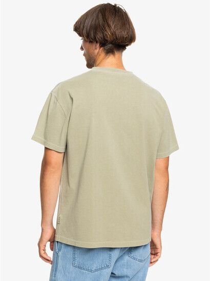 Quiksilver T-Shirt Emby Mineral grey