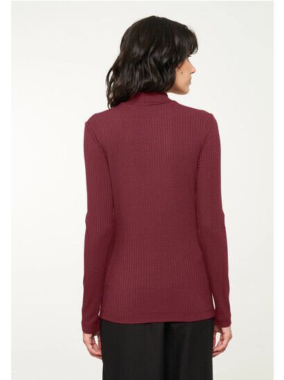 Recolution Longsleeve Crassula dark cherry