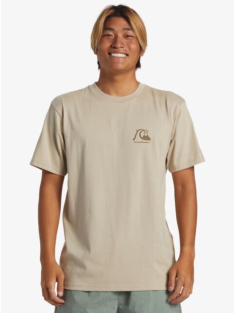 Quiksilver T-Shirt The Original plaza taupe