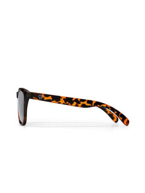 CHPO Sonnenbrille Bodhi turtle brown