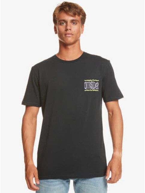 Quiksilver T-Shirt Taking Roots black