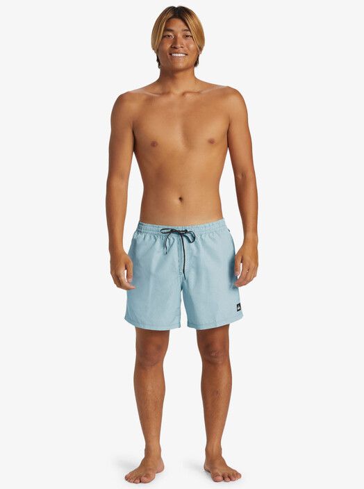 Quiksilver Boardshort&#x20;Everyday&#x20;Deluxe&#x20;Volley&#x20;15&quot;&#x20;frosty&#x20;spruce