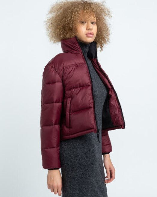 Element Jacke&#x20;Alder&#x20;Arctic&#x20;Women&#x20;vintage&#x20;red