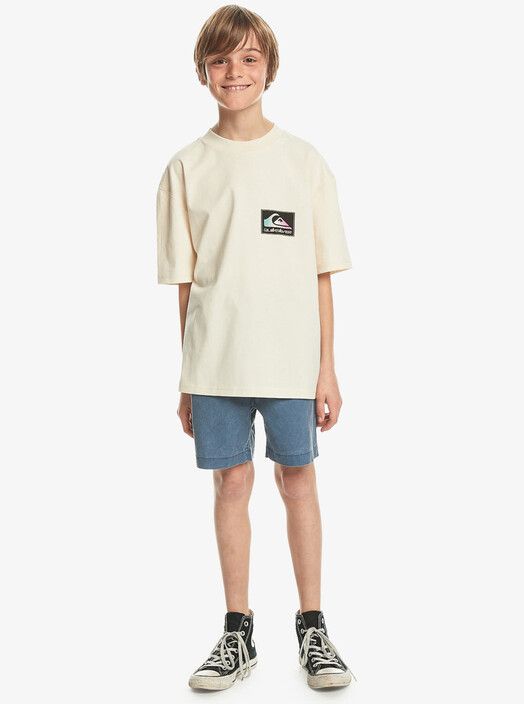 Quiksilver T-Shirt&#x20;Back&#x20;Flash&#x20;Youth&#x20;birch