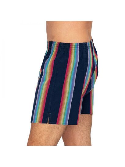 Deal Boxershort Stripe multi