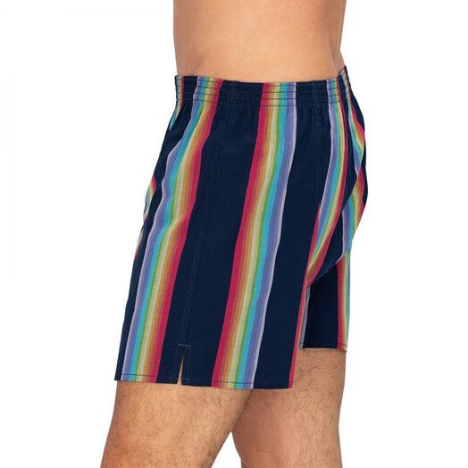 Deal Boxershort&#x20;Stripe&#x20;multi