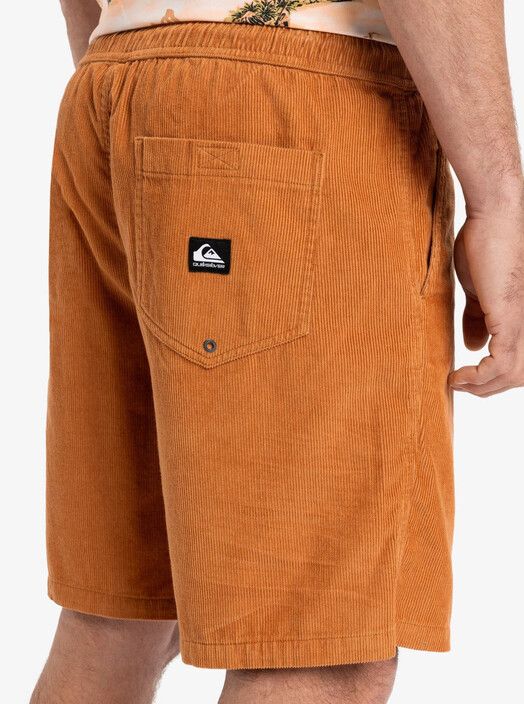Quiksilver Short&#x20;Taxer&#x20;18&#x27;&#x27;&#x20;bran