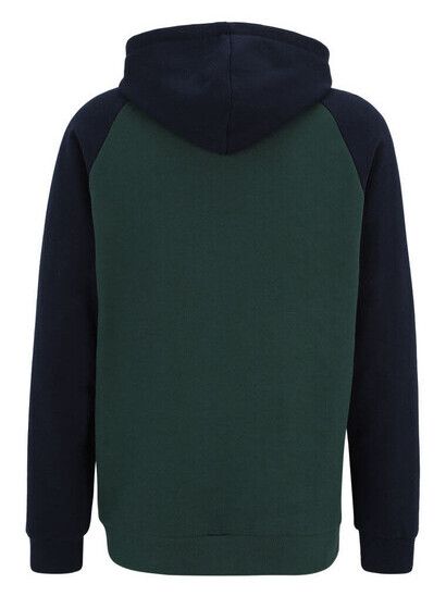 iriedaily Zipper De College 2 Zip Hood bottle green