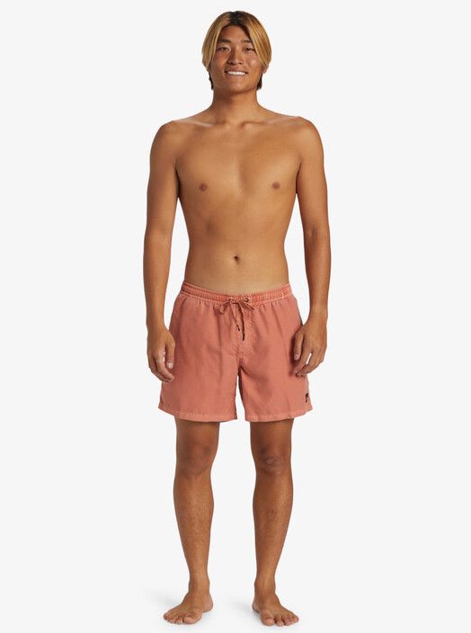 Quiksilver Boardshort&#x20;Everyday&#x20;Surfwash&#x20;Volley&#x20;15&quot;&#x20;canyon&#x20;clay