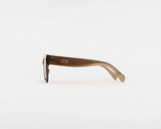 Vans Sonnenbrille&#x20;Belden&#x20;Shades&#x20;coffee&#x20;liquer