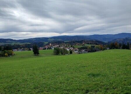 Rund um Freiburg: Wanderung vom Sportplatz St. Märgen zur Kapfenkapelle und zurück