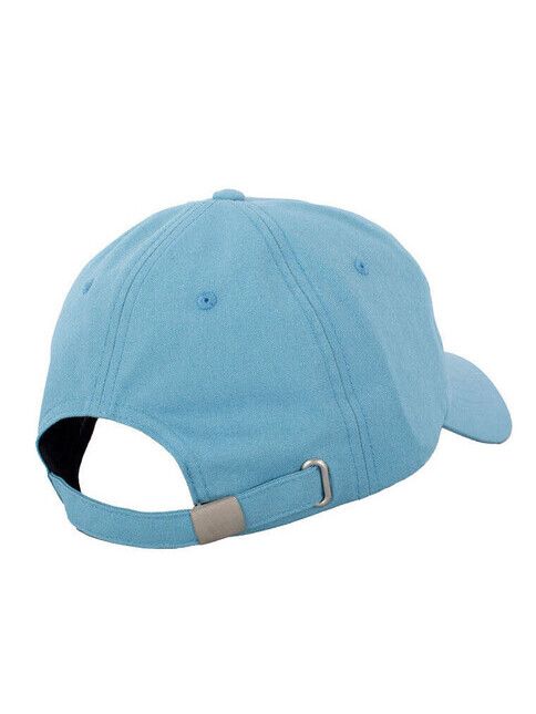 iriedaily Cap Smingo Dad Cap dusty beryl