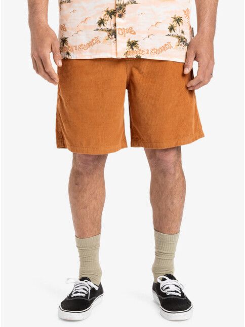 Quiksilver Short Taxer 18'' bran