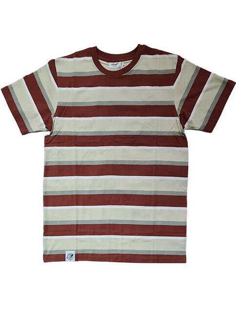 Reell T-Shirt Band T-shirt green stripes