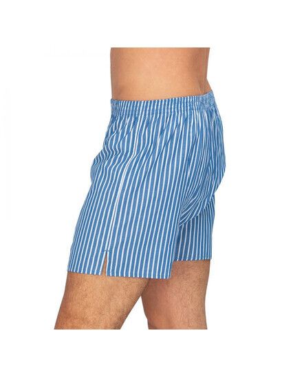 Deal Boxershort Stripe blau & weiß