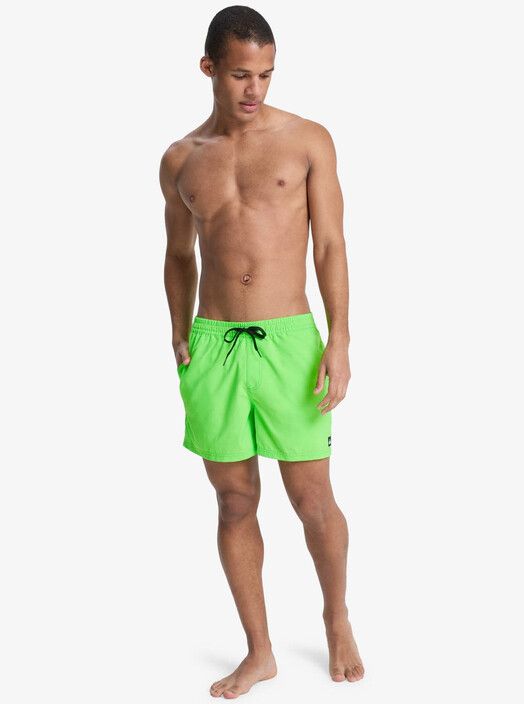 Quiksilver Boardshort&#x20;Everyday&#x20;Solid&#x20;Volley&#x20;15&#x27;&#x27;&#x20;green&#x20;gecko