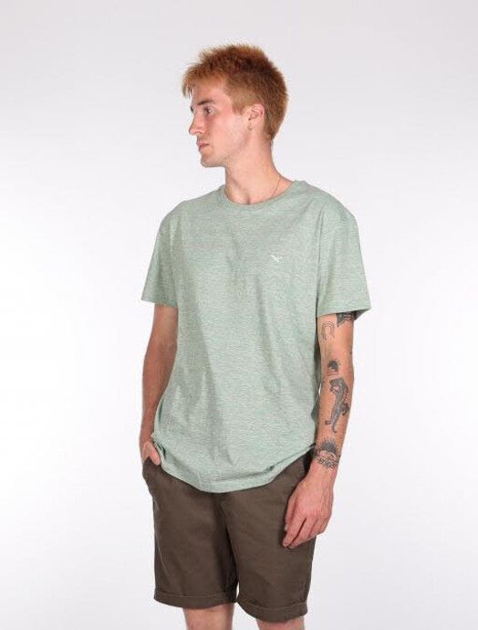 iriedaily T-Shirt&#x20;Chamisso&#x20;Tee&#x20;mintgrey