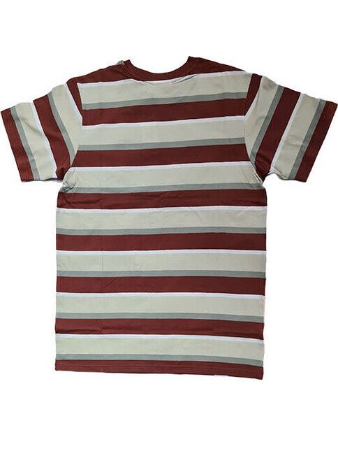 Reell T-Shirt Band T-shirt green stripes