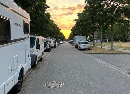 Longboarding Freiburg: Ab durch die Wiehre