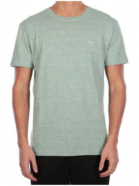 iriedaily T-Shirt Chamisso Tee mintgrey