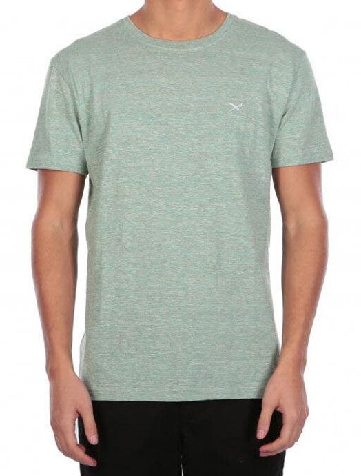 iriedaily T-Shirt&#x20;Chamisso&#x20;Tee&#x20;mintgrey