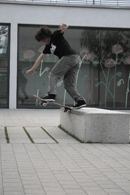 FabiBacktailFakie-d.jpg FabiBacktailFakie-d.jpg