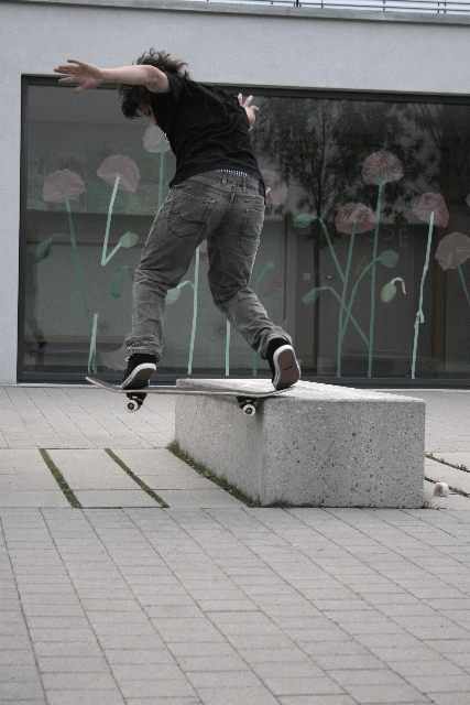 FabiBacktailFakie-f.jpg FabiBacktailFakie-f.jpg